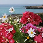 בית נופש Fronte Mare Capilungo