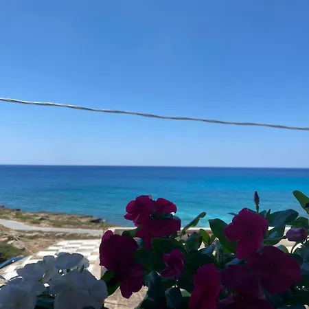 Fronte Mare *